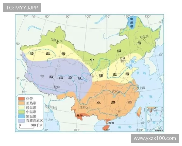 武汉羽毛球队在联合会杯中的战术表现分析与点评 武汉羽毛球队在联合会杯中的战术表现分析与点评