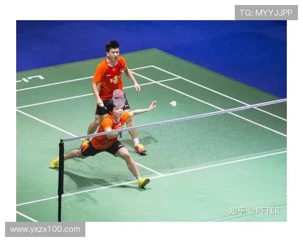 武汉羽毛球队的团队协作与战术配合深度分析与探讨