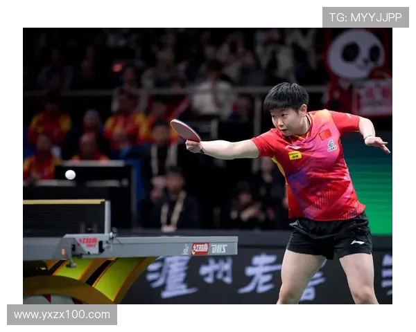 武汉乒乓球队在世界杯中的团队协作表现分析与点评