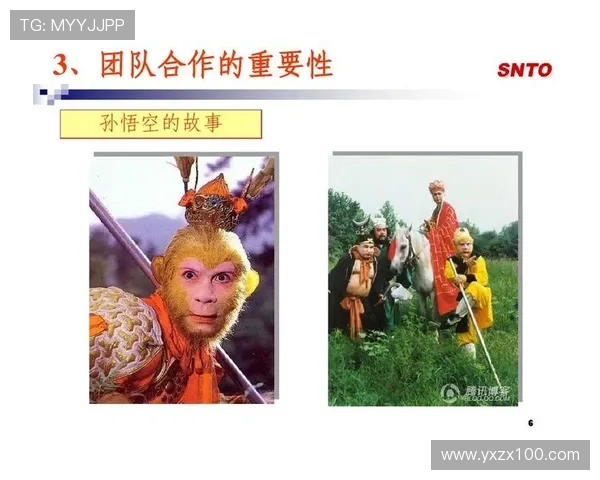 上海乒乓球队精英赛精彩表现分析团队协作的重要性与影响 上海乒乓球队精英赛精彩表现分析团队协作的重要性与影响