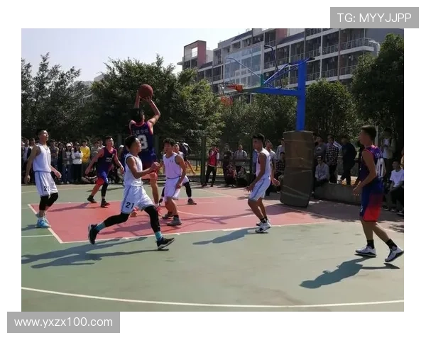 南京篮球队在杯赛中的状态分析与表现评估